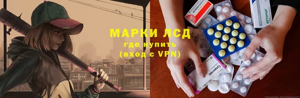 шишки Абинск