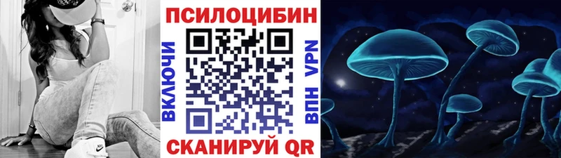 Псилоцибиновые грибы Psilocybine cubensis  Киренск 